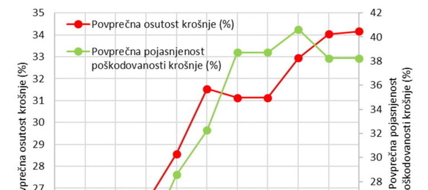 Hiranje navadne bukve po vsej Sloveniji 2010–2019