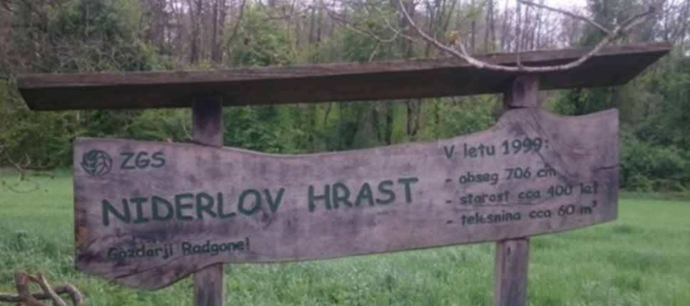 Dan Zemlje na 9. slovenskem lovskem dnevu
