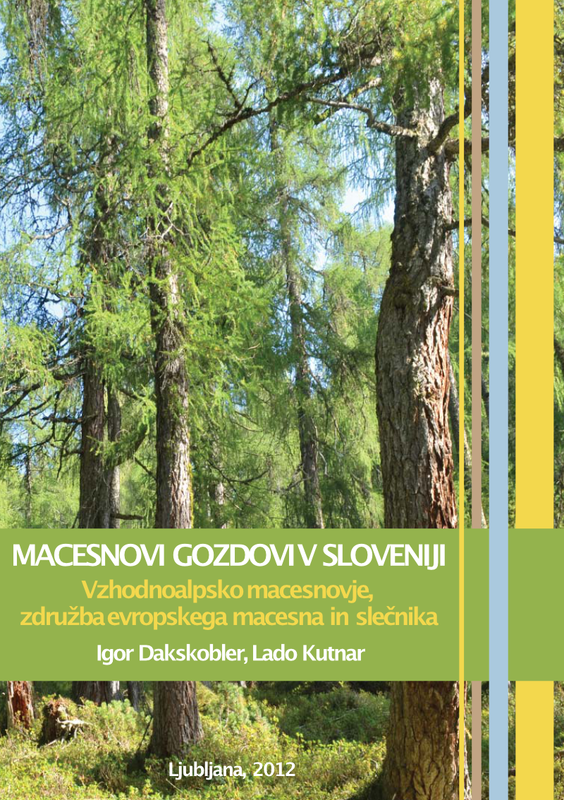 Macesnovi gozdovi v Sloveniji