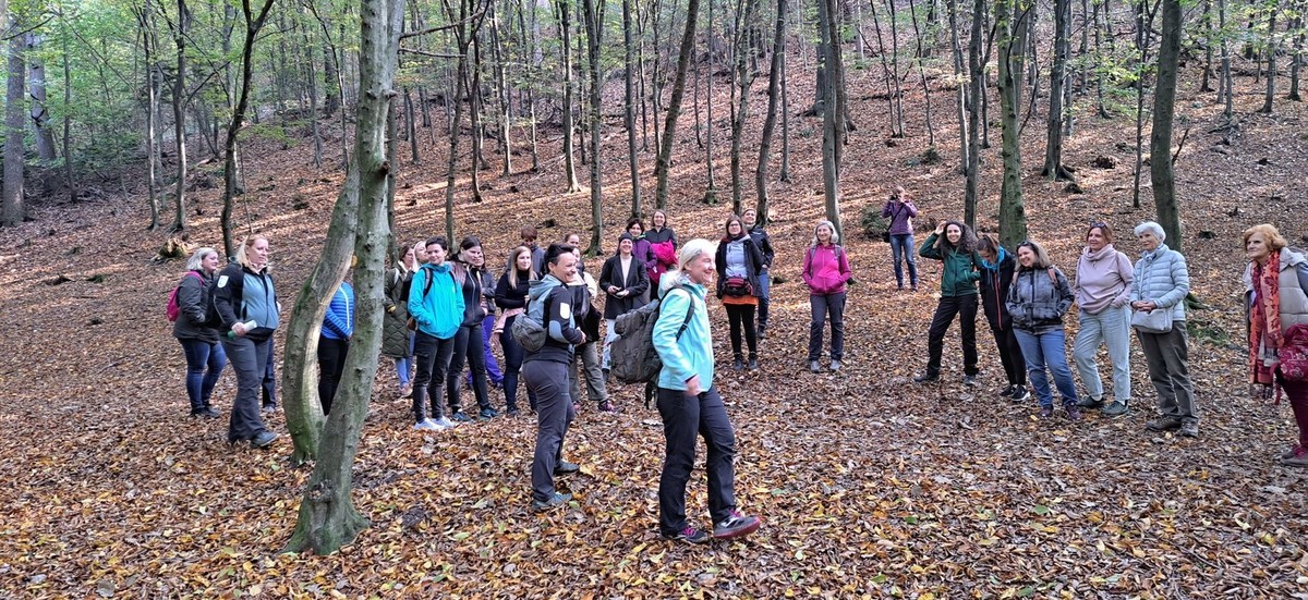 Mednarodna konferenca EQUALITY AND DIVERSITY IN FORESTRY: CHANGING THE IMAGE OF FORESTRY