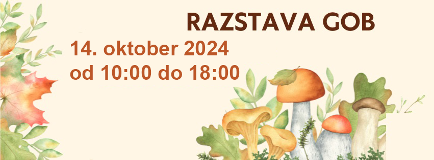 Razstava gob