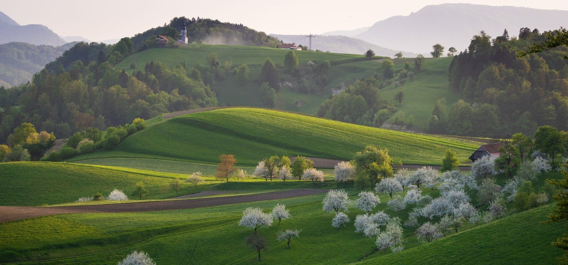Pokrajina Kozjanskega parka