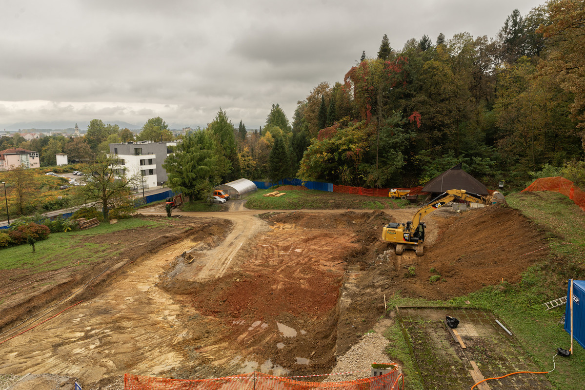 Center za semenarstvo, drevesničarstvo in varstvo gozdov - oktober 2024