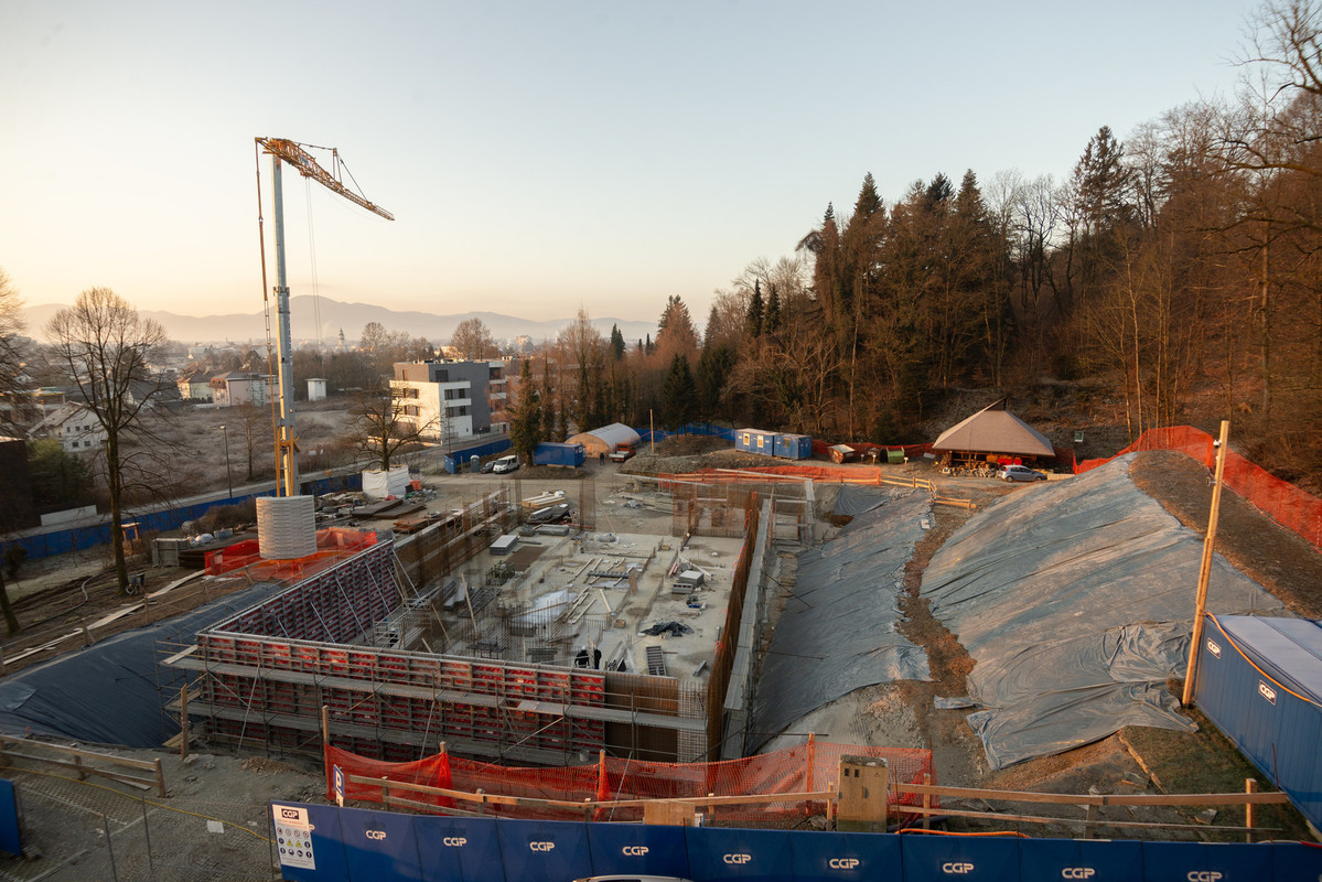 Center za semenarstvo, drevesničarstvo in varstvo gozdov - februar 2025