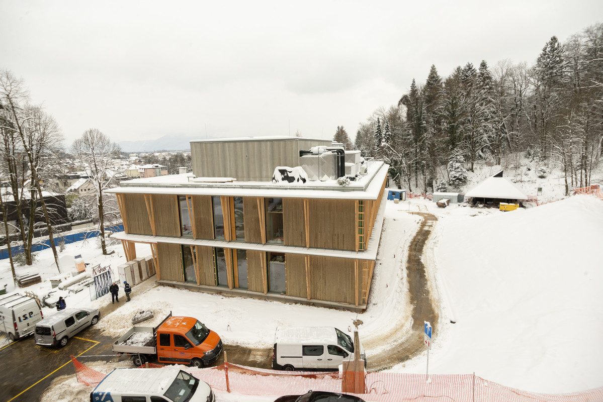 Center za semenarstvo, drevesničarstvo in varstvo gozdov - januar 2026