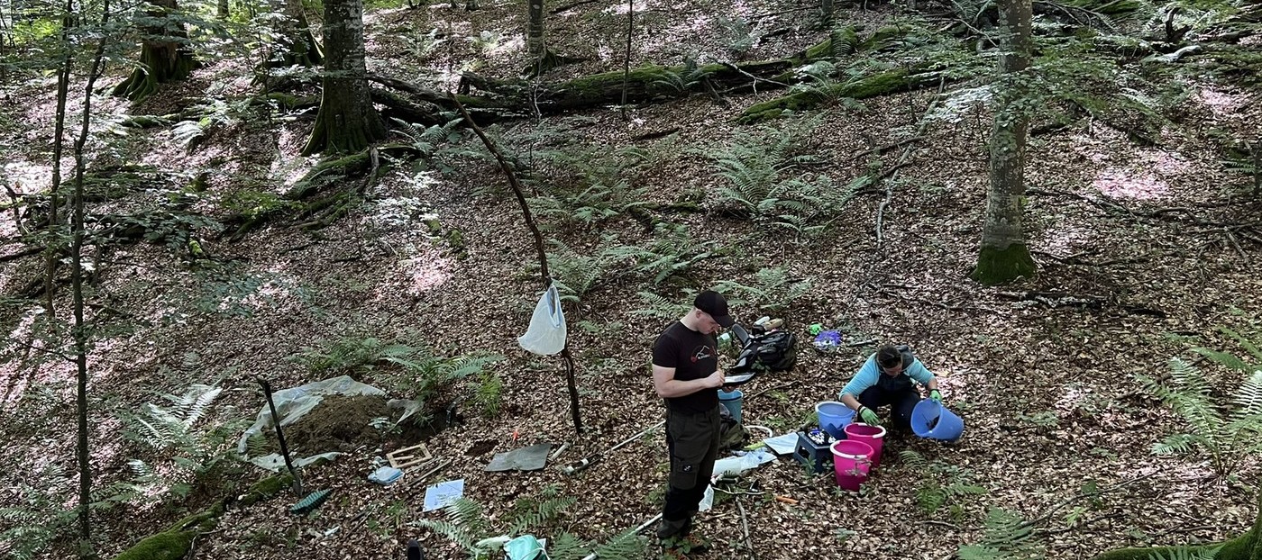 Eyes on the Forest soils: from pioneering soil monitoring at the Slovenian Forestry Institute to the first European soil law