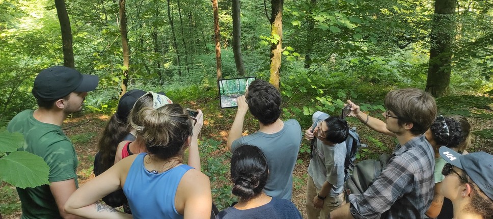 Interdisciplinarna poletna šola o gozdnih ekosistemih
