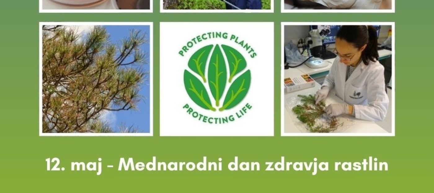 Mednarodni dan zdravja rastlin 2025