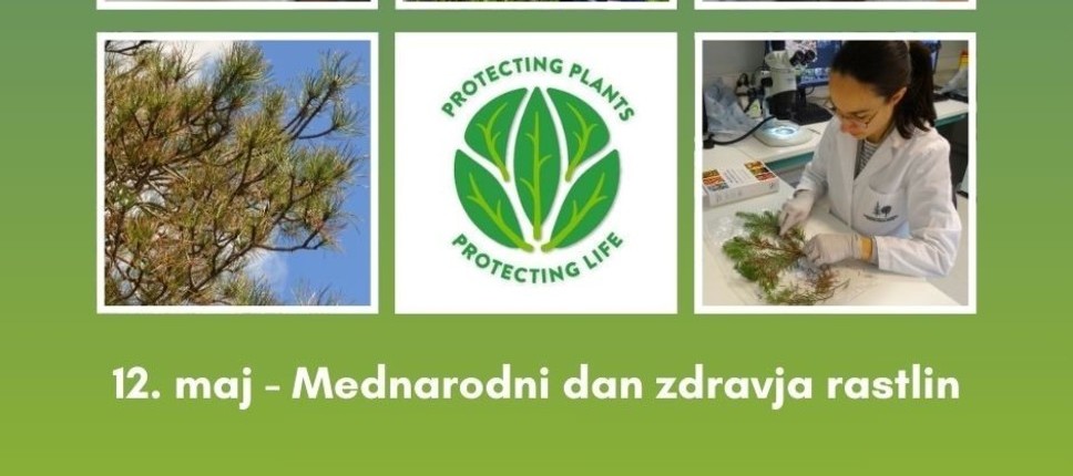Mednarodni dan zdravja rastlin 2025