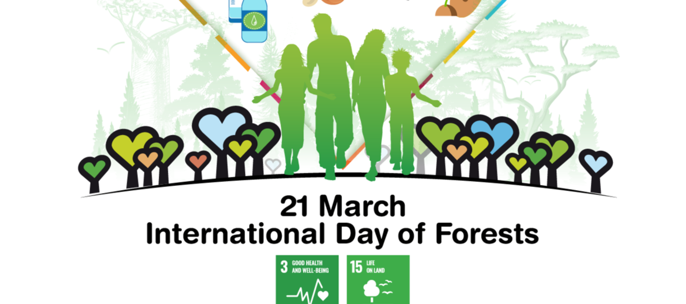 Mednarodni dan gozdov 2023 - zdravi gozdovi za zdrave ljudi