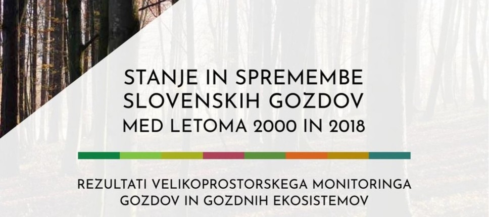 Stanje in spremembe slovenskih gozdov med letoma 2000 in 2018 : rezultati velikoprostorskega monitoringa gozdov in gozdnih ekosistemov
