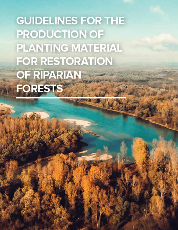 Guidelines for the production of planting material for restoration of riparian forests